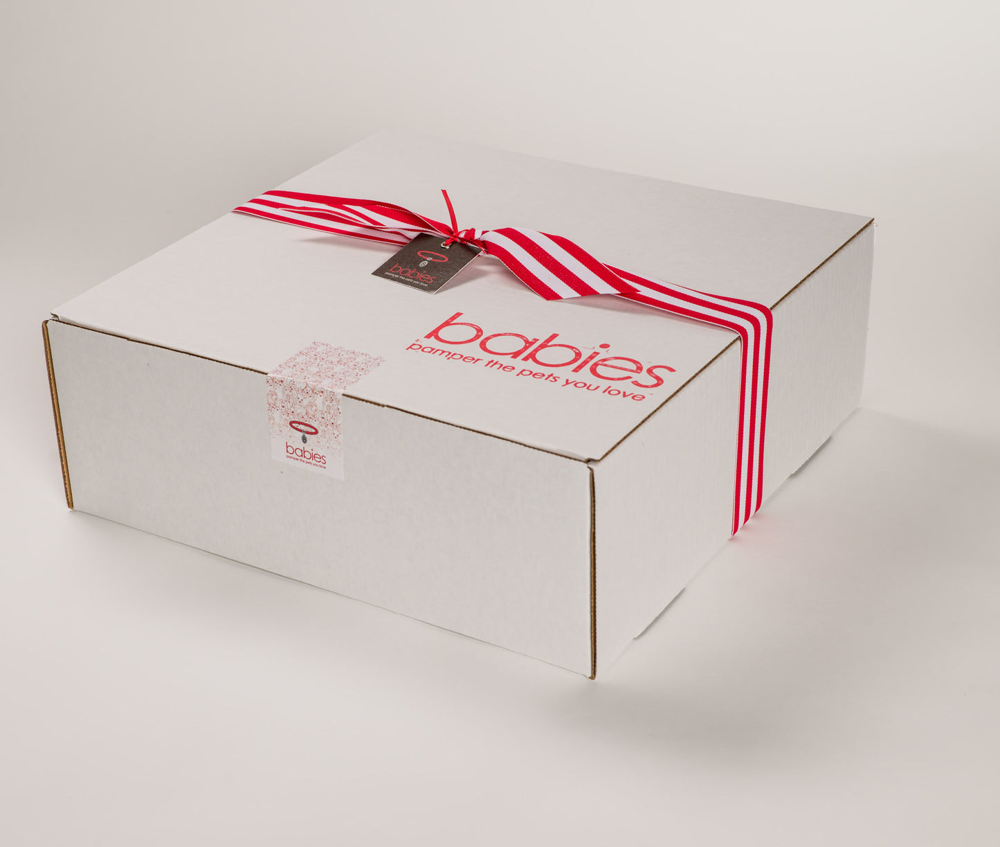 Happy Camper Dog Gift Box