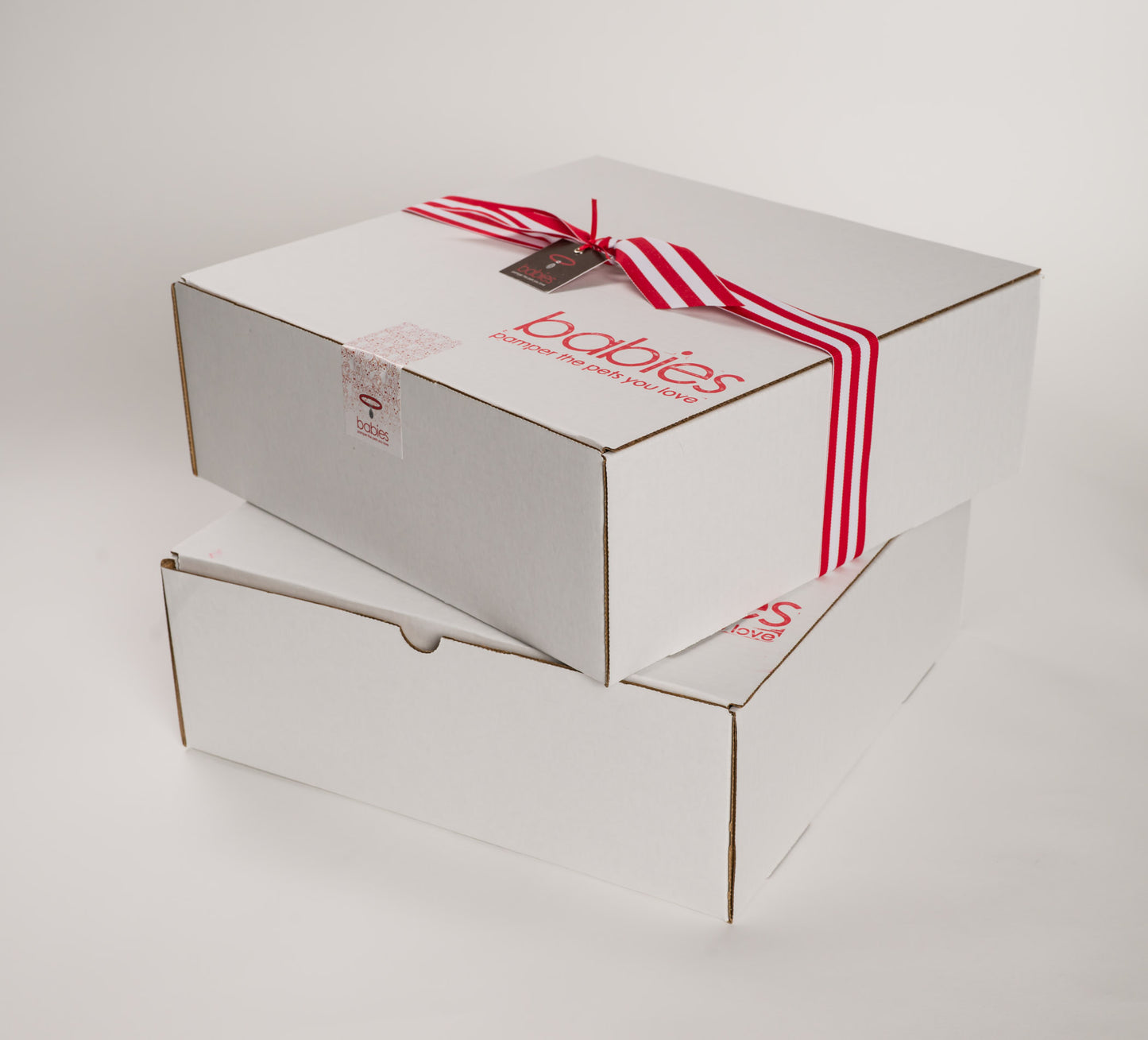 From Sea to Shining Sea Dog Gift Box