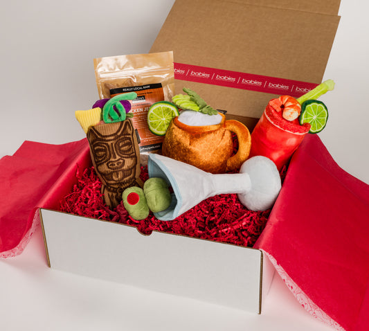 Coctails Anyone? Dog Gift Box