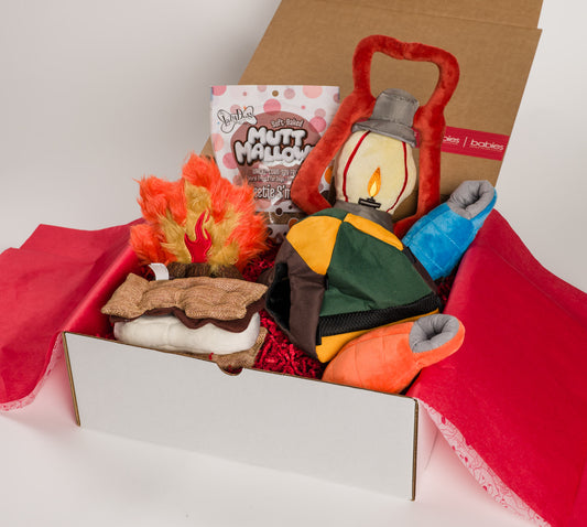 Happy Camper Dog Gift Box