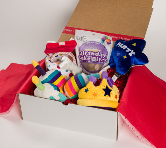 Happy Birthday Buddy Dog Gift Box