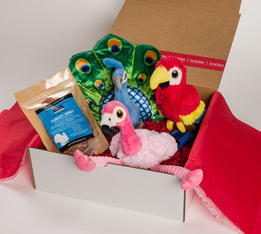 Birds of a Feather Dog Gift Box