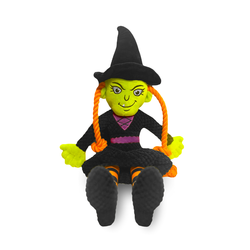Deluxe Witch Halloween Dog Gift Box
