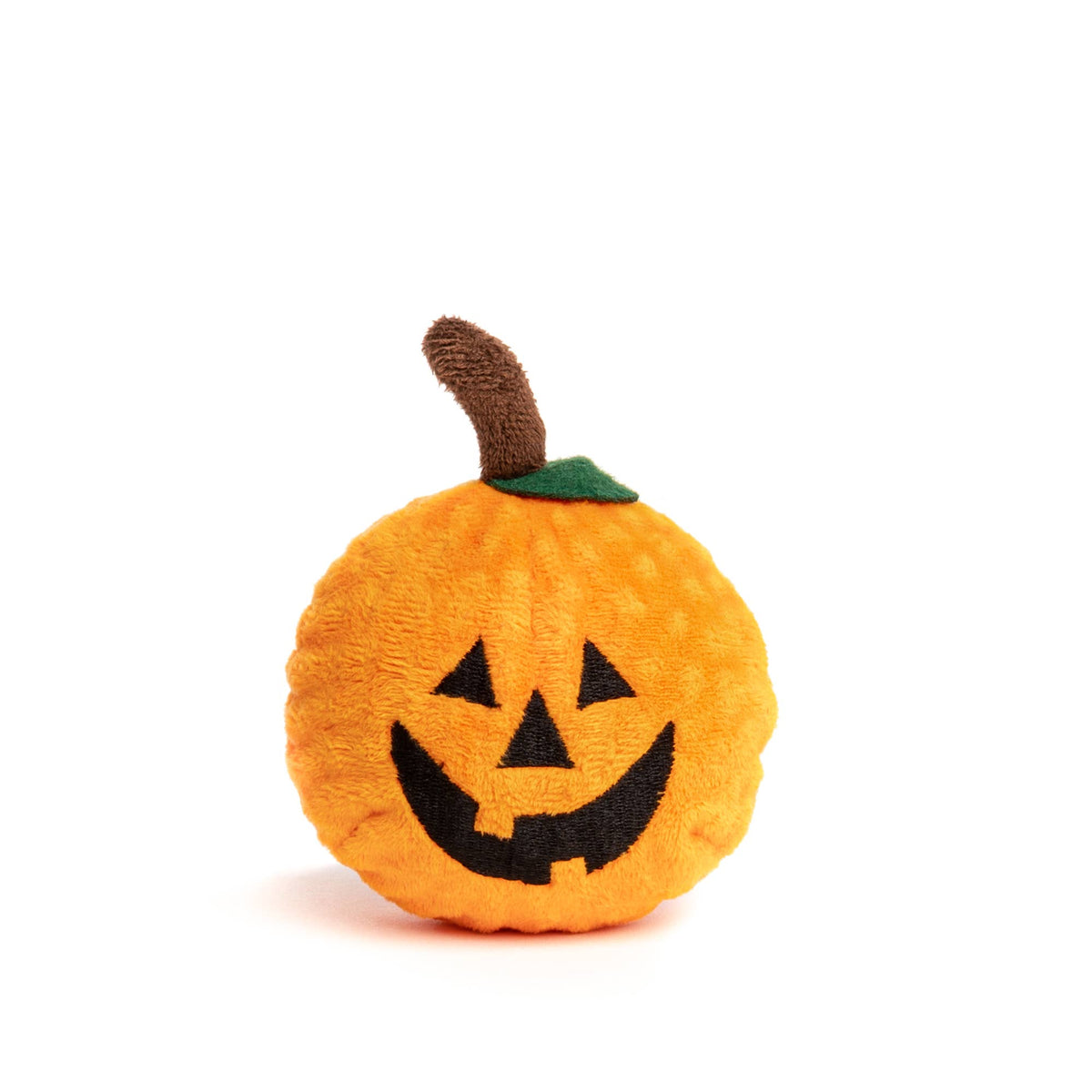 Deluxe Witch Halloween Dog Gift Box