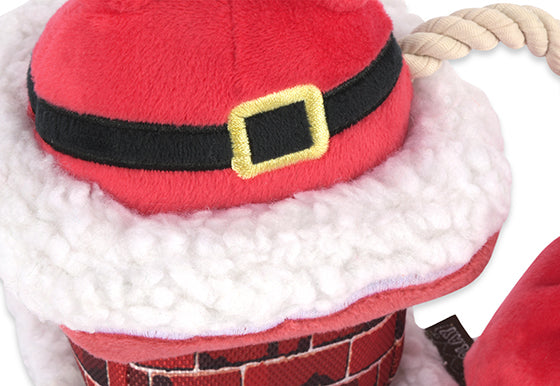 Here Comes Santa Claus Holiday Dog Gift Box