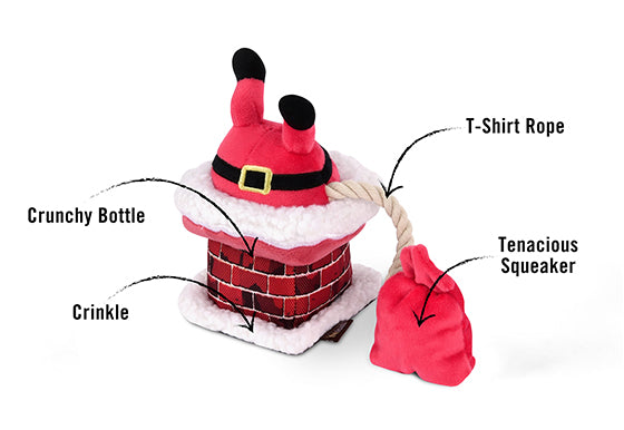 Here Comes Santa Claus Holiday Dog Gift Box