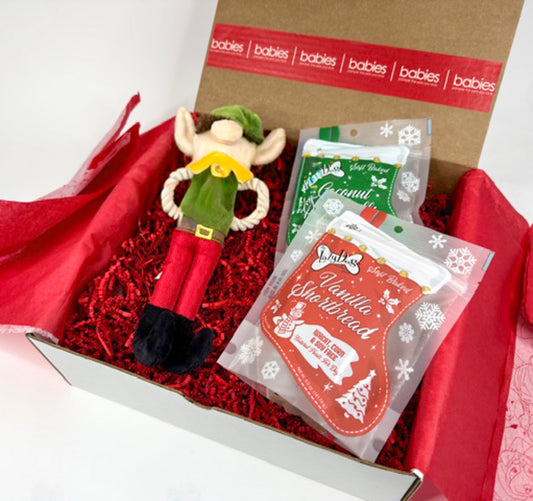 Holiday Elf Dog Gift Box