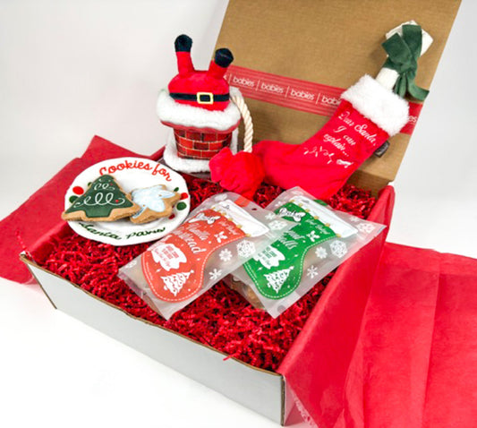 Here Comes Santa Claus Holiday Dog Gift Box