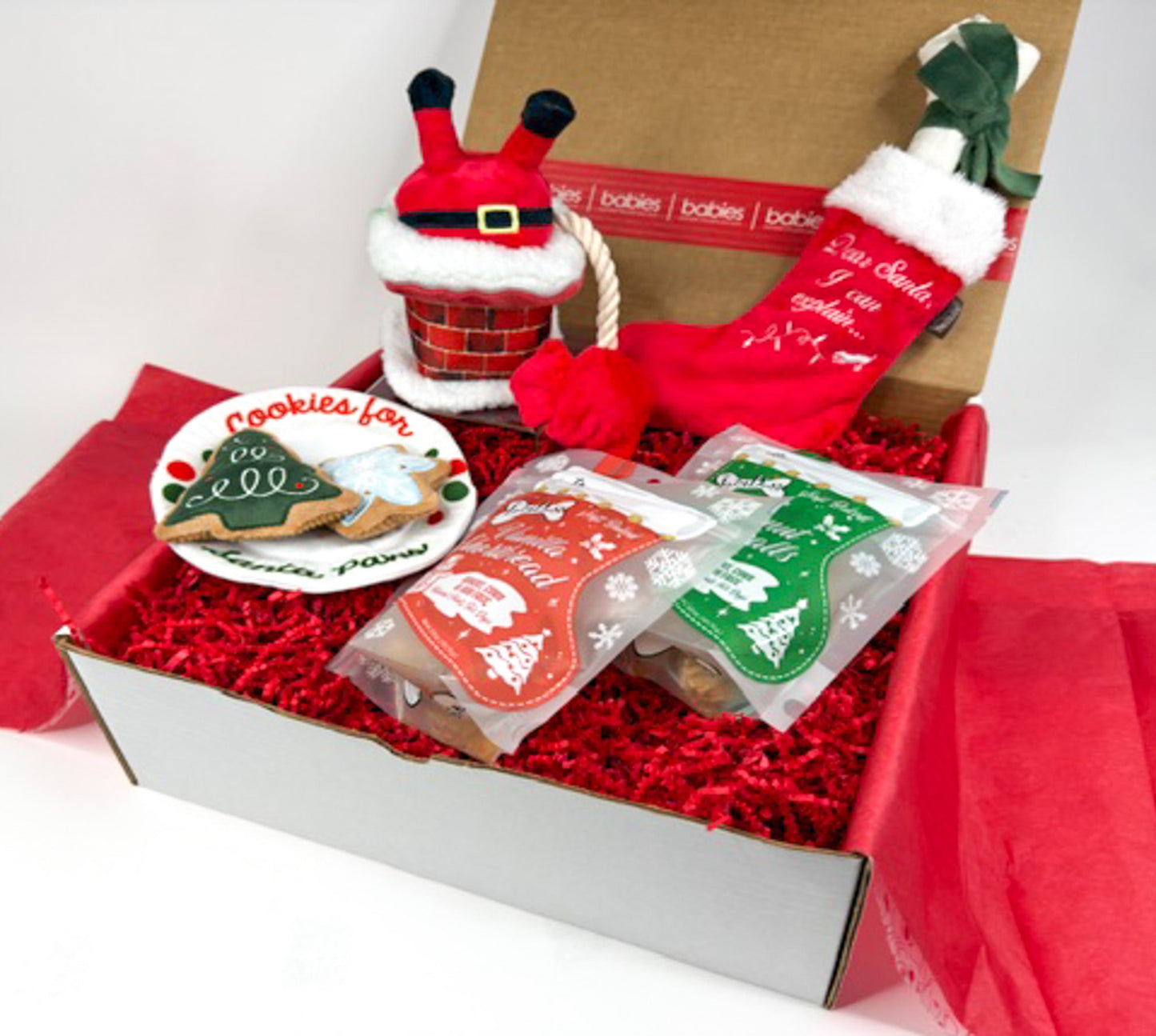 Here Comes Santa Claus Holiday Dog Gift Box