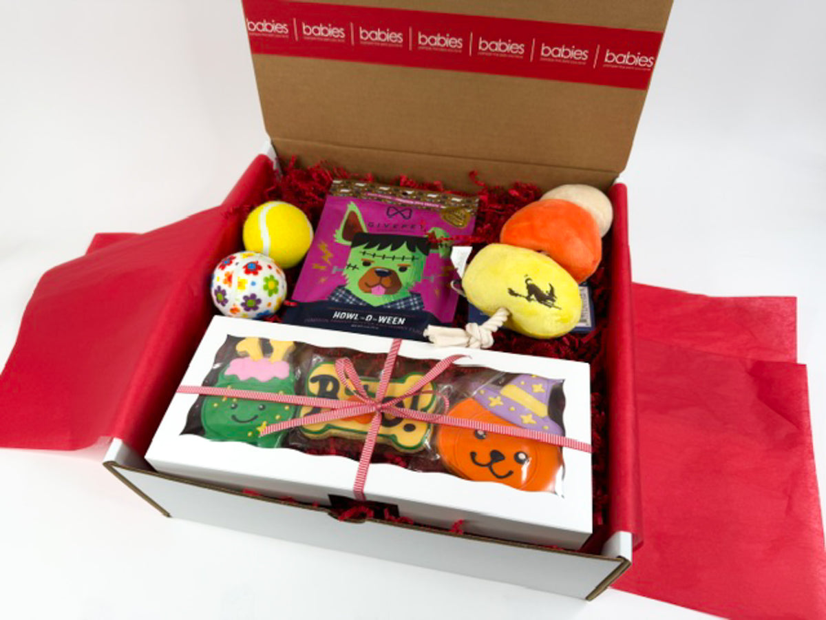 Candy Corn On A Rope Dog Halloween Gift Box