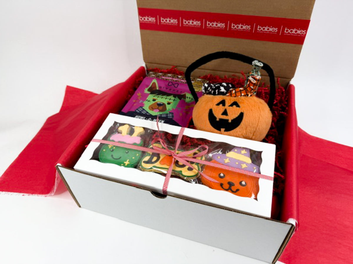 Jack o Lantern Halloween Dog Gift Box