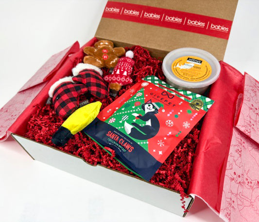 Kitty Kat Holiday Cat Gift Box