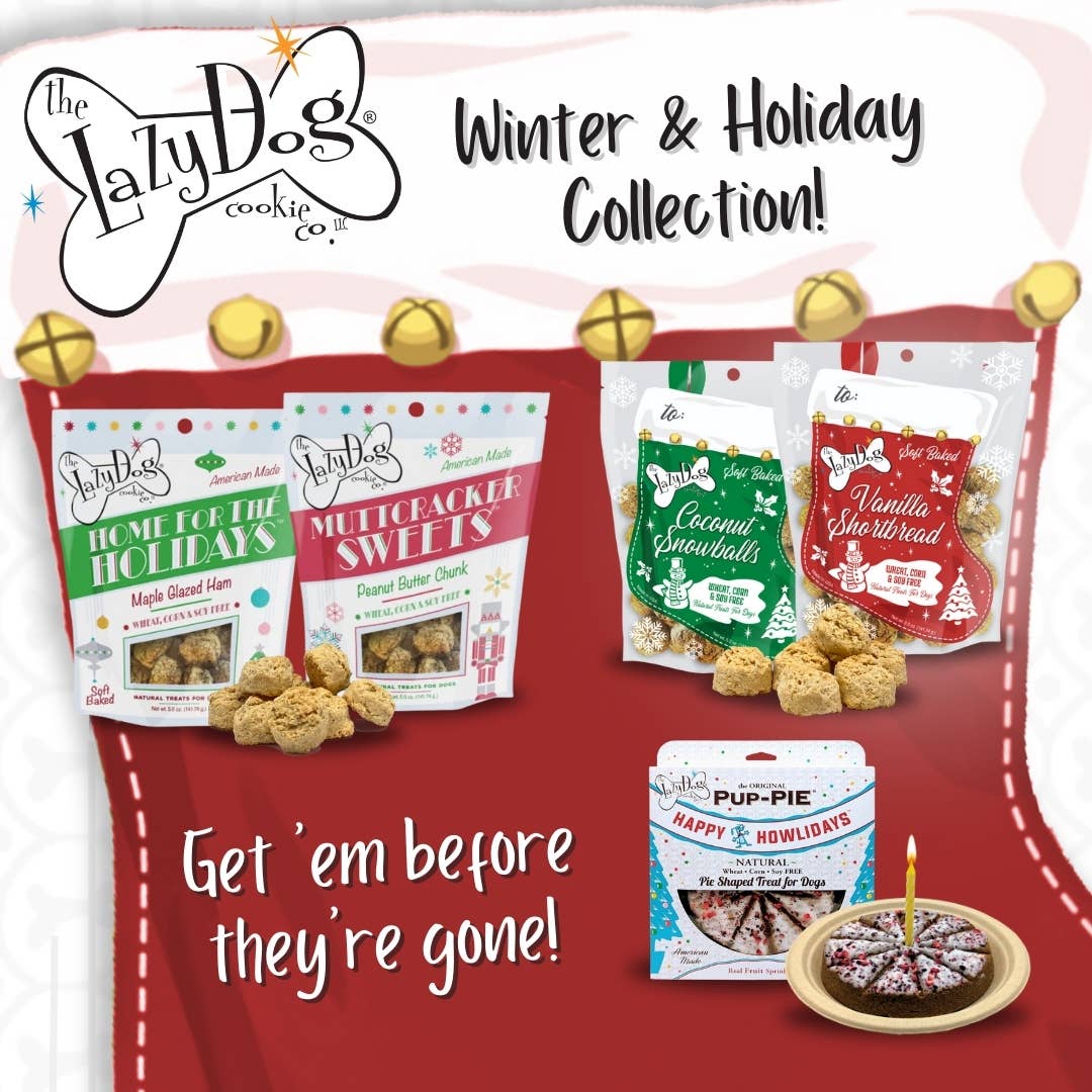 Holiday Elf Dog Gift Box