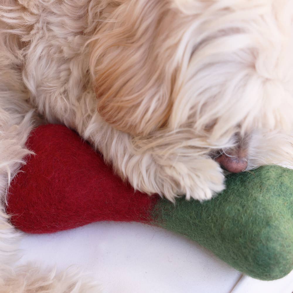 Give a Dog a Bone Holiday Gift Box