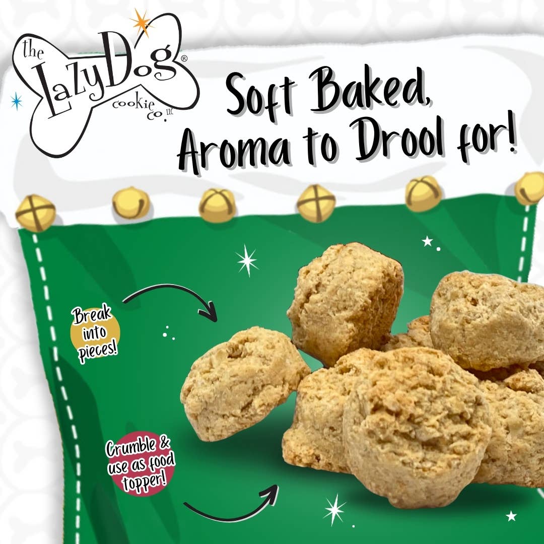 Home for the Holidays Red Truck Dog Gift Box